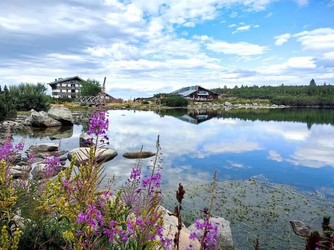 Alpine Lodge Bansko Apartments Dış mekan fotoğraf