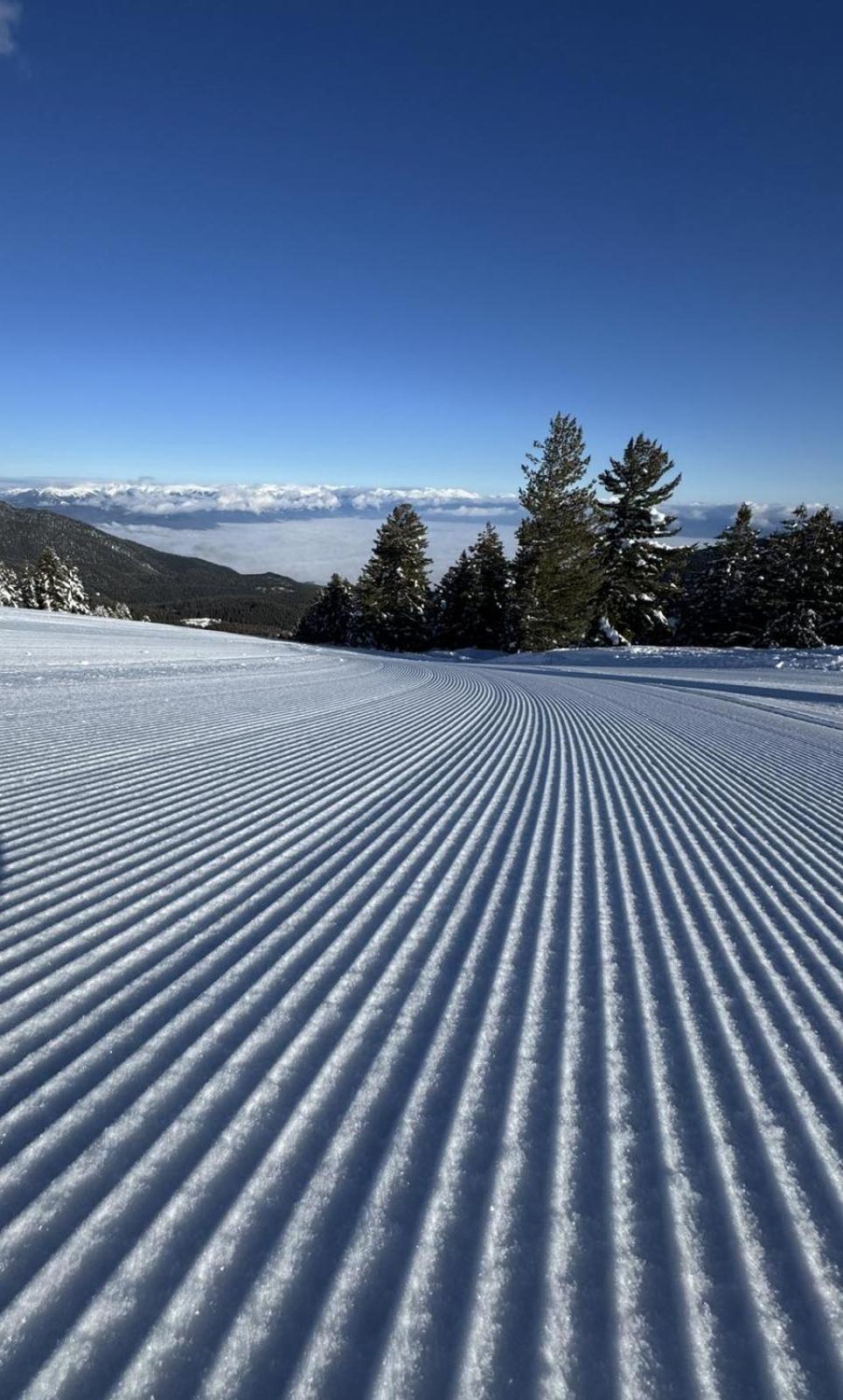 Alpine Lodge Bansko Apartments Dış mekan fotoğraf