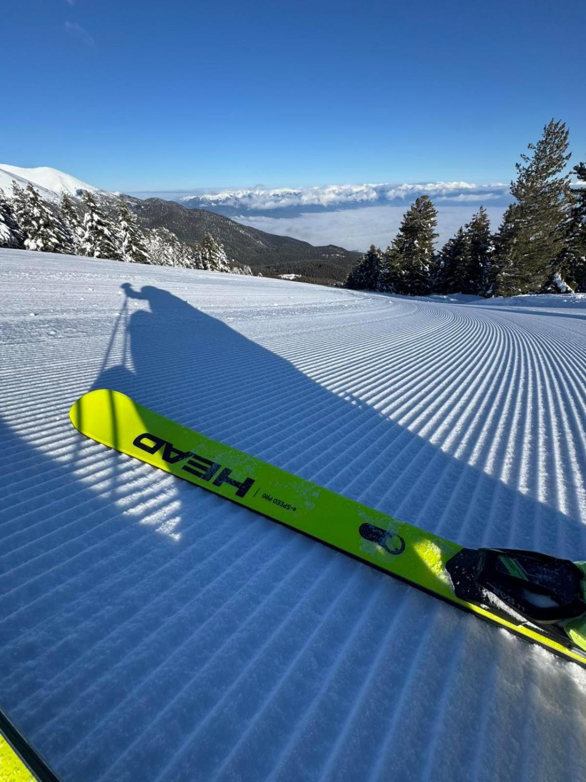 Alpine Lodge Bansko Apartments Dış mekan fotoğraf